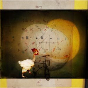 Meet your Posher, Karen